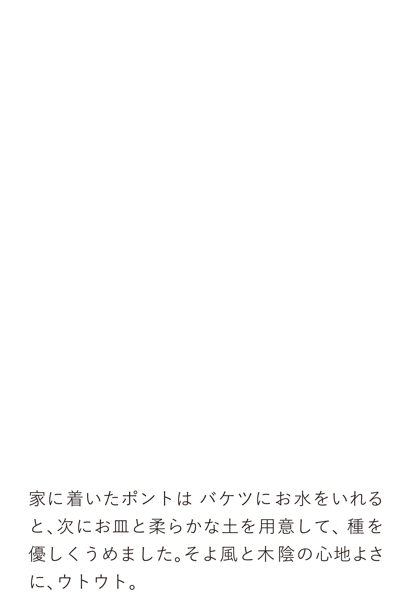 家に着いたポントはバケツにお水をいれると、次にお皿と柔らかな土を用意して、種を優しくうめました。そよ風と木陰の心地よさに、ウトウト。